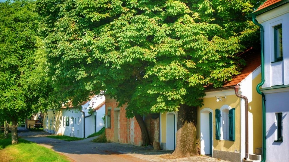 Wora Kellergasse ein Blick nach Westen