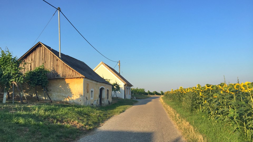 Wora Kellergasse, Bild aus dem Westlichen Teil zwischen Familie Pulker und Familie Rosner