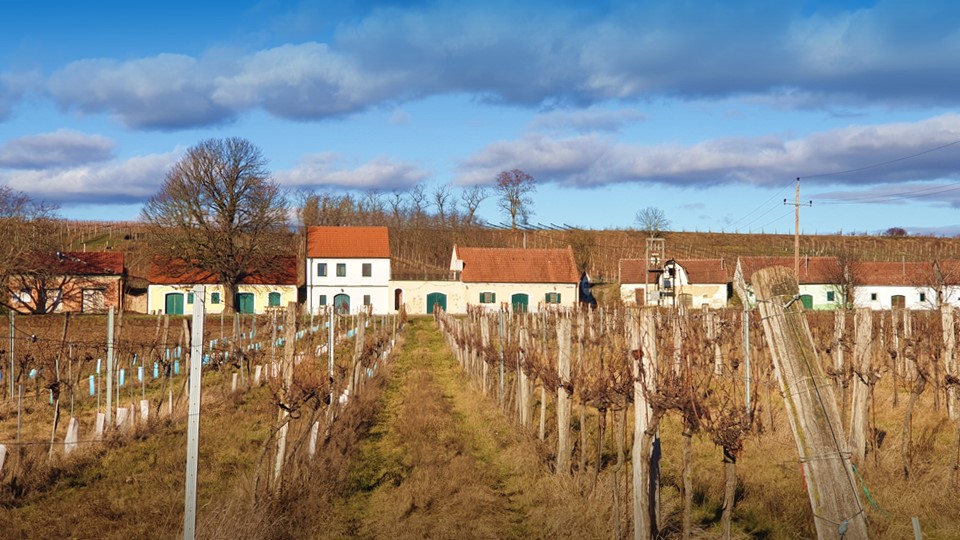 Wora Kellergasse im Winter