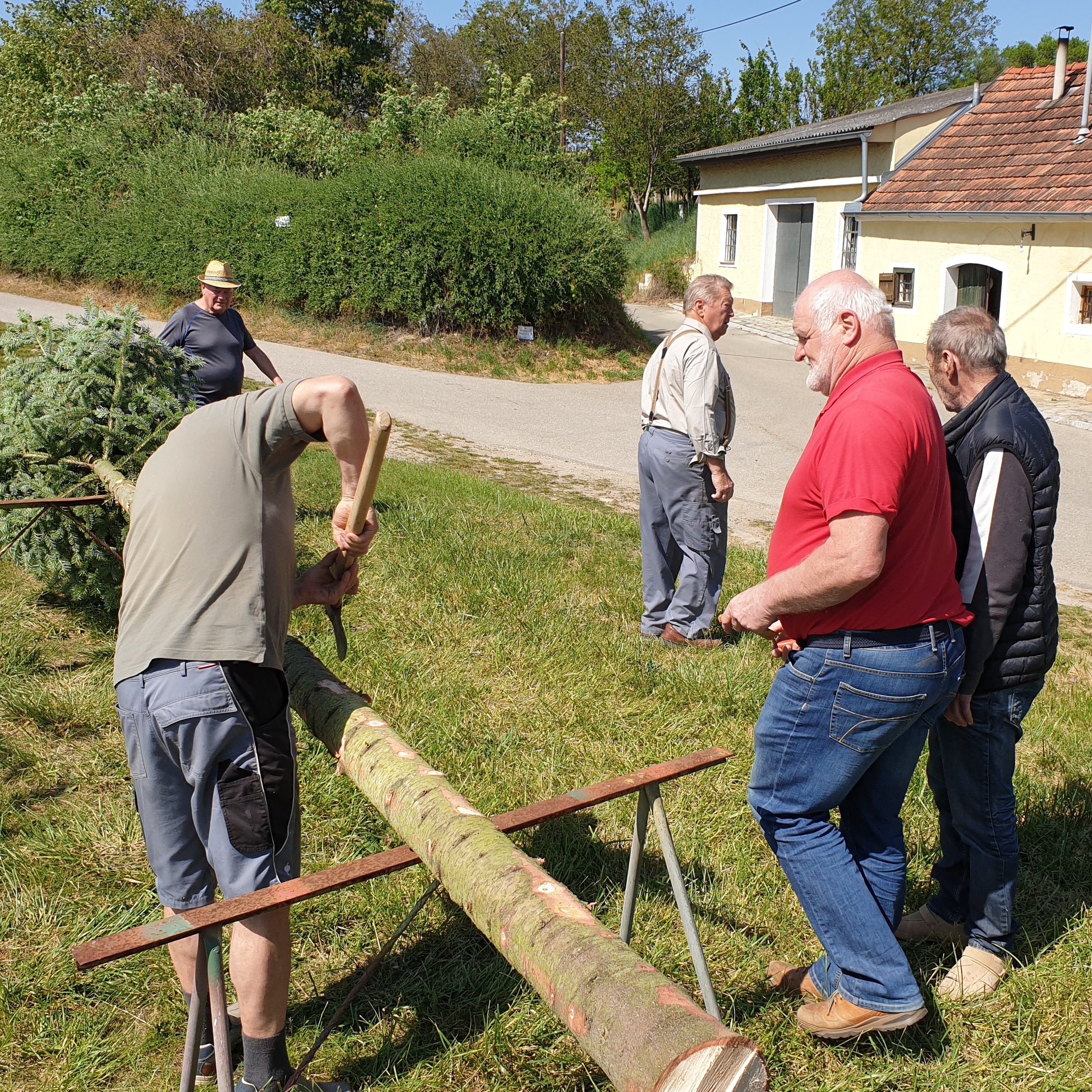 maibaum2024