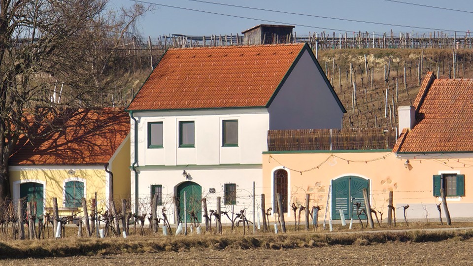 Wora Kellergassenfest Mehlig Bild