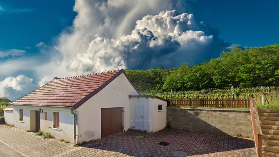 Wora Kellergassenfest Fuchs Bild