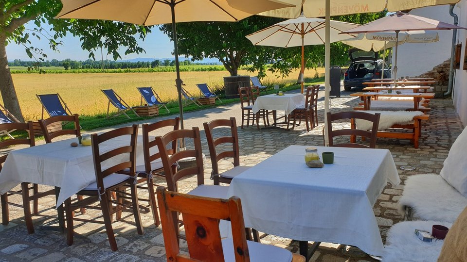 Wora Kellergassenfest Hacienda Seebarn Bild