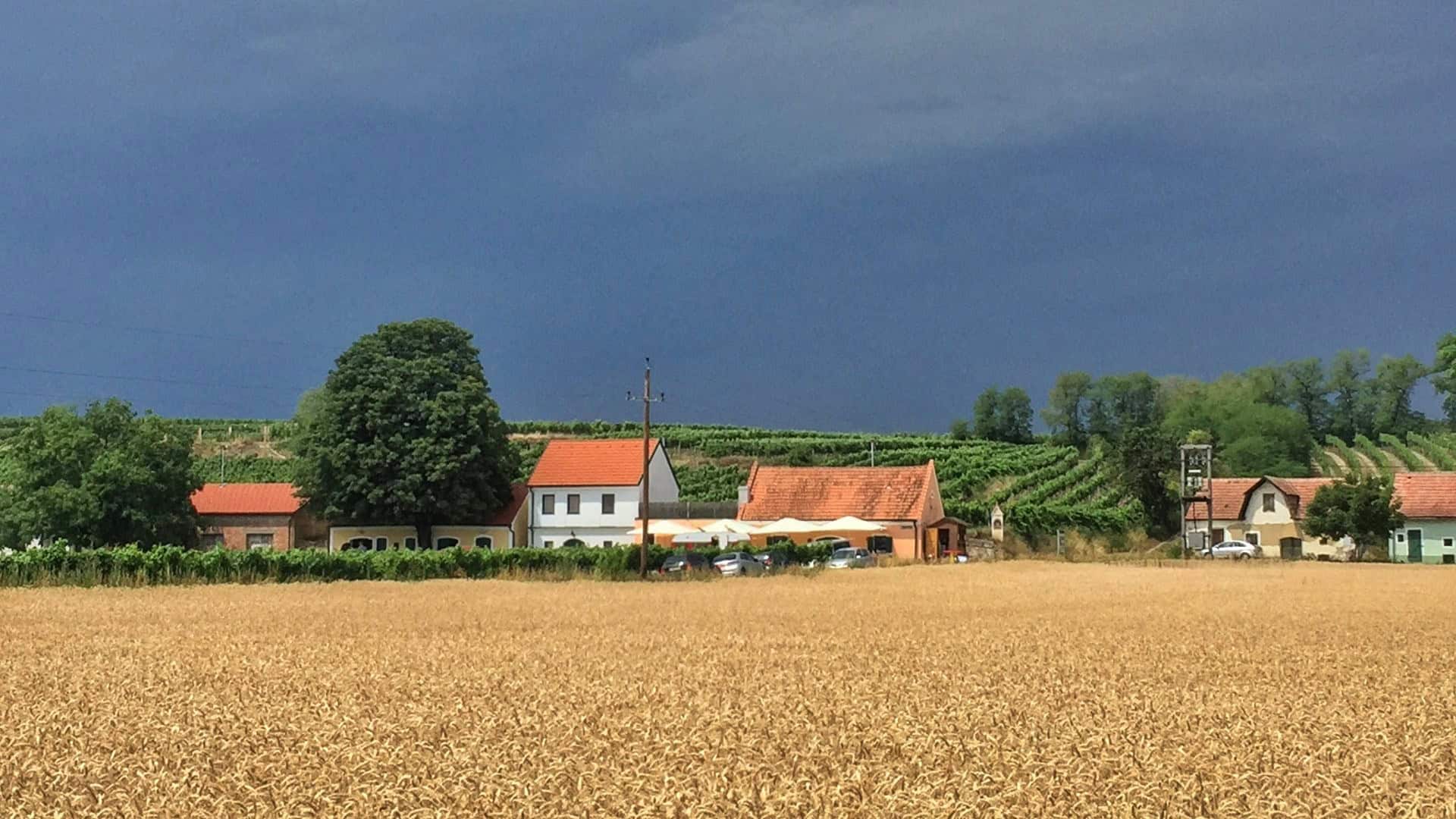 Wora Kellergasse ein Blick nach Westen
